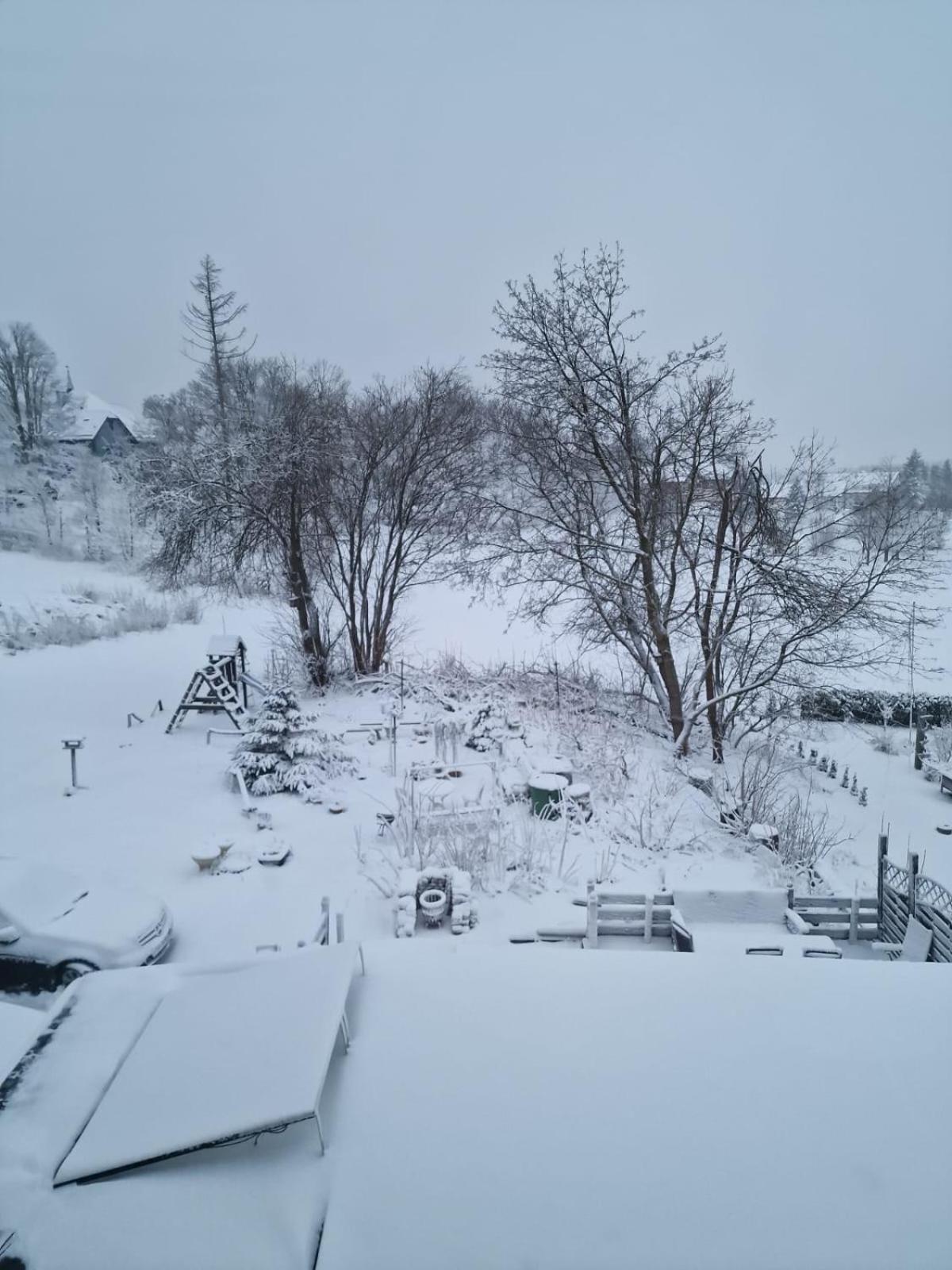 Mikes Fewo Braunlage Eksteriør billede