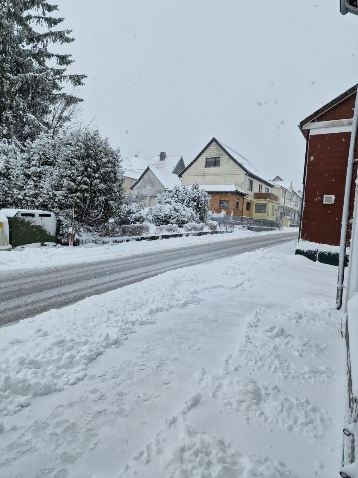Mikes Fewo Braunlage Eksteriør billede