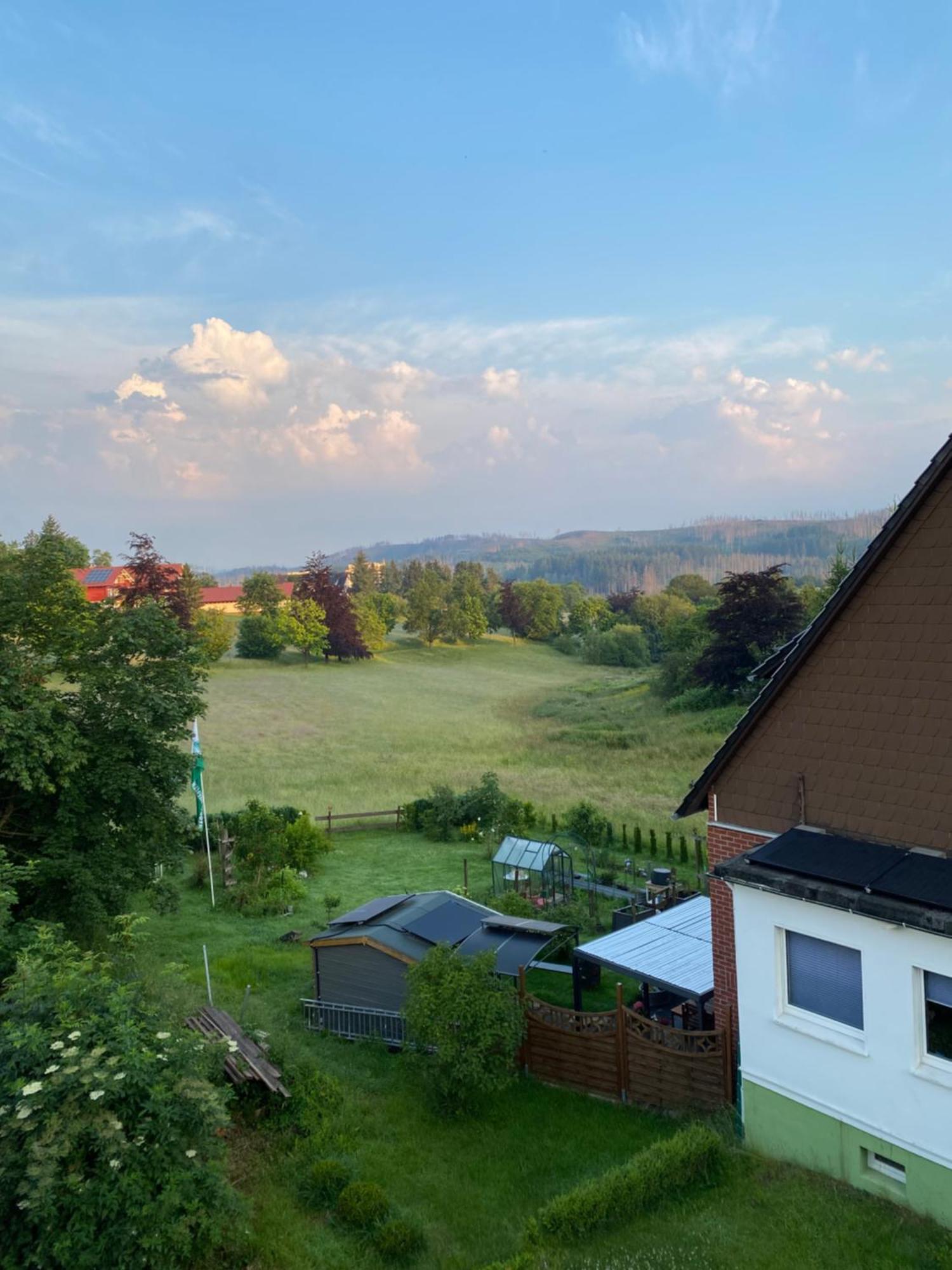 Mikes Fewo Braunlage Eksteriør billede